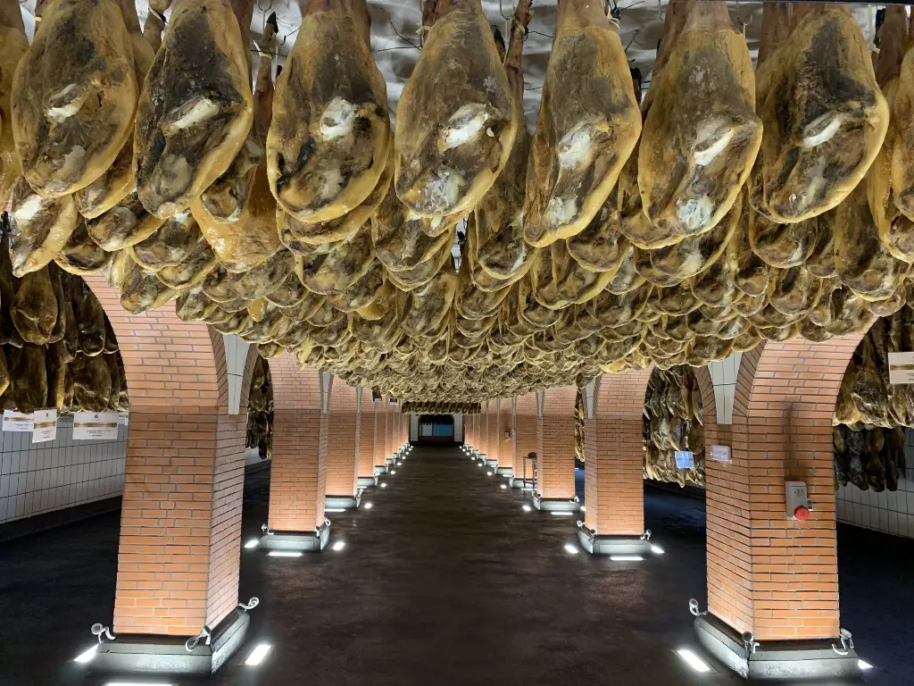 19. Sanchez Romero Carbajal 2019 (12).webp