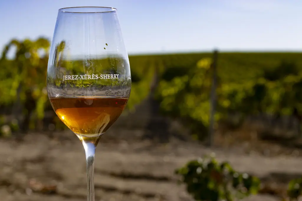 7. Viña La Zarzuela 2019 (30).webp