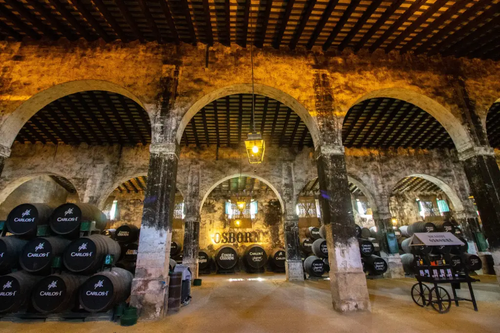 Diseño de Eventos (Ferias, Muestras)